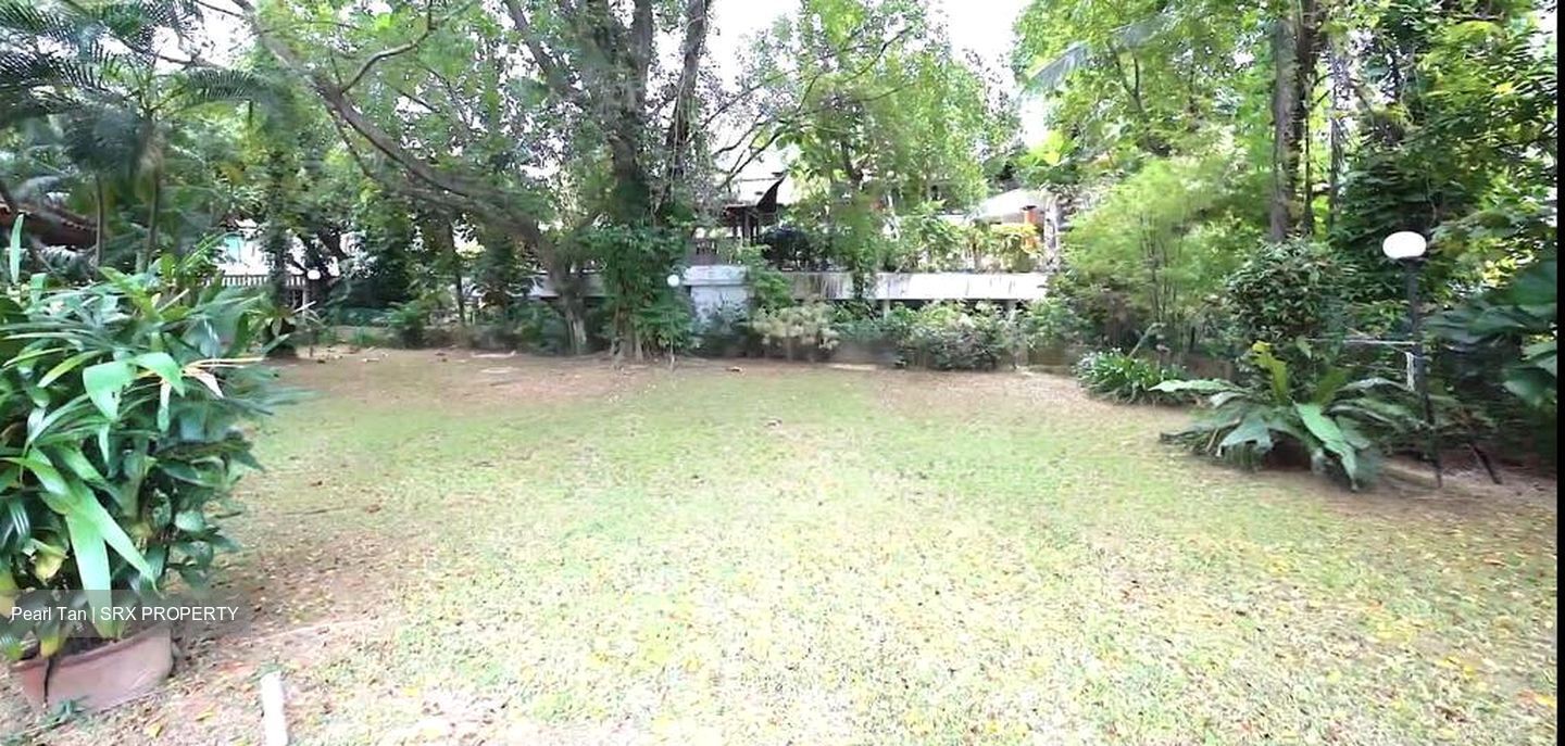 Leedon Park (D10), Detached #624512621